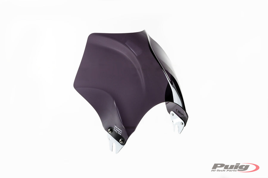KAWASAKI W 230 [2025] – Raptor Windshield Visor – Tinted