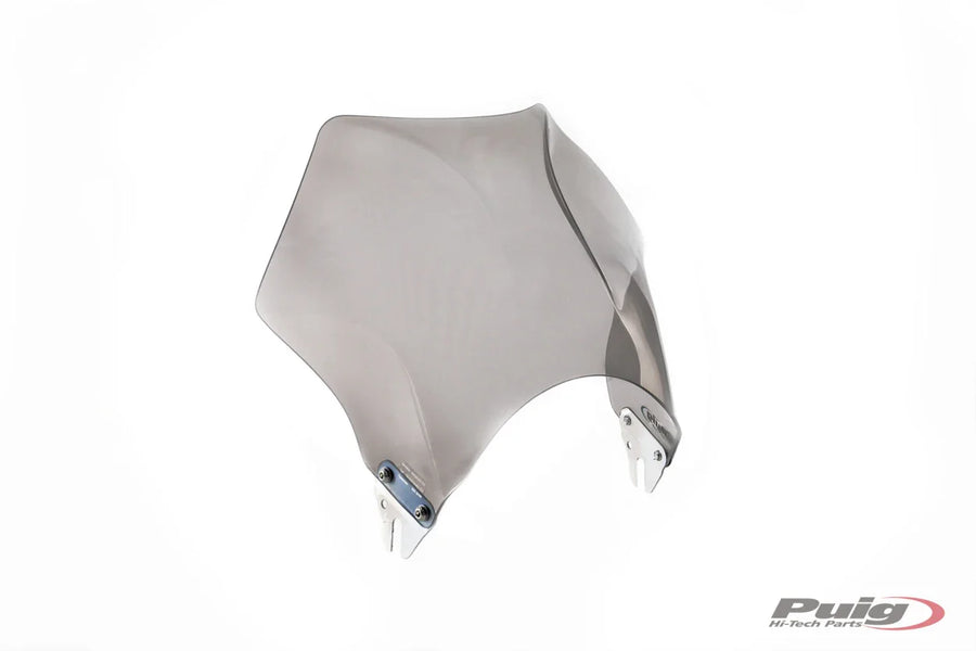 KAWASAKI W 230 [2025] – Raptor Windshield Visor – Tinted – Strongly tinted