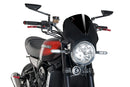 KAWASAKI Z 900 RS SE [2025] – Vision Windshield Visor – Tinted-41