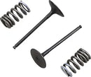 Suzuki RM 250 [PROX] – valve and spring set