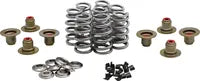 Harley-Davidson FLHCS 1923 Softail Heritage Classic 117 [2026] - High Load Beehive® Spring Kit - Image 7