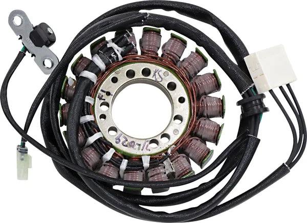 Triumph Daytona [RICK'S MOTORSPORT ELECTRIC] - OEM style stator