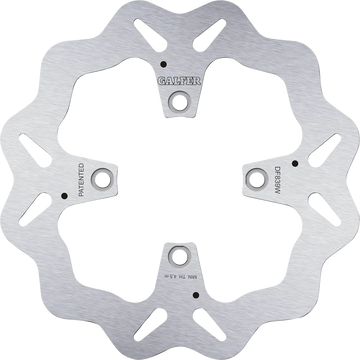 Ducati PANIGALE V2 890 S [2025] - Brake disc - Type: One-piece (rigid) - Image 1