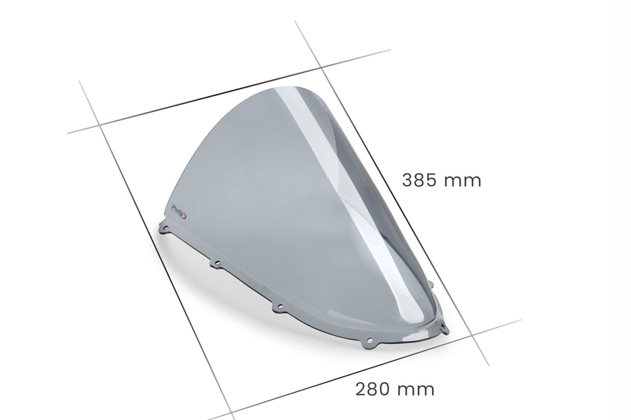 DUCATI PANIGALE V4R [2025] – R-Racer screen – carbon look