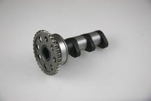 Arctic Cat 400 DVX 2 WD [2004-2008] - Nockenwelle Auslass - Stage 1