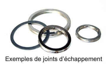 Yamaha Xtz 660 [Centauro] - exhaust seal