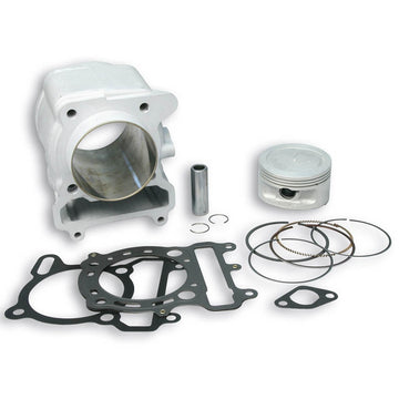 APRILIA LEONARDO 250 [1999-2001] - Zylinder-Kit - Ø74mm