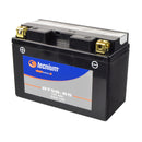 Yamaha XT 660 x [Tecnium] - maintenance -free motorcycle battery-1
