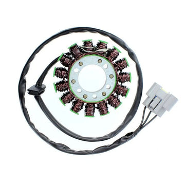 Bmw S 1000 RR ABS 0507 [2010-2011] - Stator - BMW S1000R