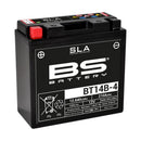 Yamaha Fjr [BS BATTERY] - SLA Maintenance Free Battery Factory Activated - BT14B-4