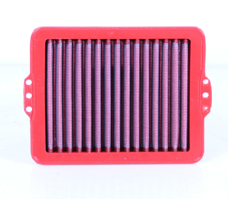 Bmw F 900 Gs [BMC] - Air filter - FM01004