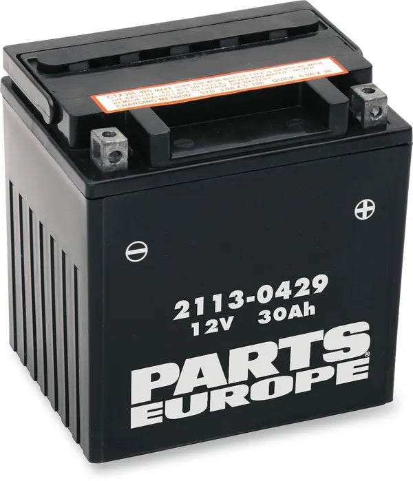 BMW F 650 GS Dakar [PARTS EUROPE] – Parts Europe Battery