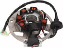 Aprilia RS 125 [NARAKU]-alternator stores for minarelli horizontal and vertical-1