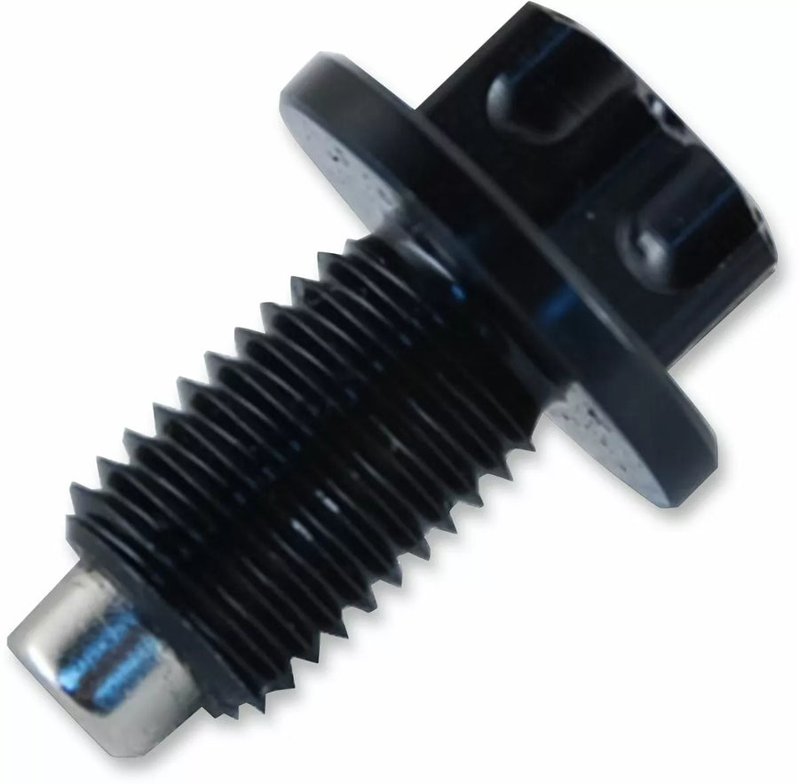 Kawasaki VN-15 [PSR]-magnetic oil drain screw