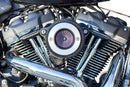 Harley-Davidson FXBRS 1868 Softail Breakout 114 [2021-2022] - Air Stinger Stealth Luftfiltersatz – Bild 9