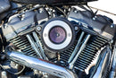 Harley-Davidson FLSB 1750 Softail Sport Glide 107 [2022] - Air Stinger Stealth Luftfiltersatz – Bild 2