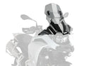 APRILIA RS4 125 REPLICA [2016] – Z-Racing Screen – Black