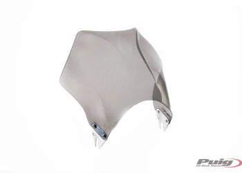 TRIUMPH THRUXTON 1200RS [2025] – Spare parts - Fairing – Carbon look