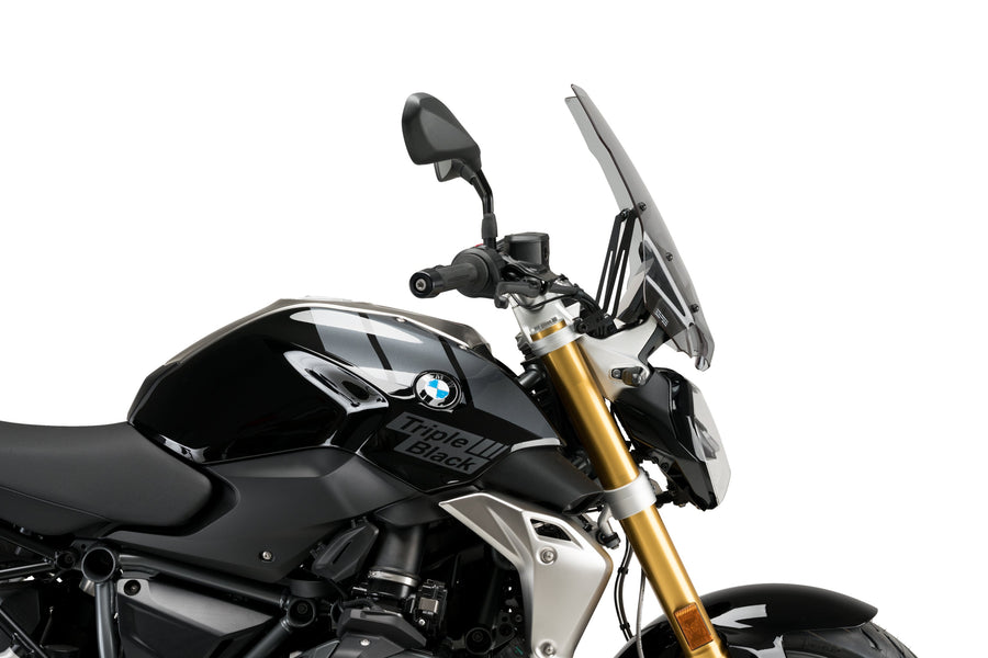 BMW R 1250 R [2025] – New Generation Touring – Heavily tinted