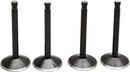 Harley Davidson Panhead [KIBBLEWHITE] – Black Diamond™ Engine Valve Kit