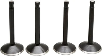 Harley Davidson Flfb [KIBBLEWHITE] – Black Diamond™ Engine Valve Kit