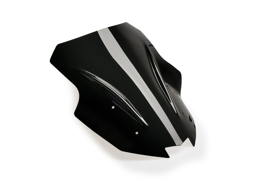 KAWASAKI NINJA 1100 SX SE [2025] – Racing screen – heavily tinted