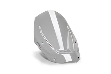 BMW R 1300 GS TROPHY [2025] – sports screen – transparent - 0