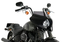 HARLEY DAVIDSON SOFTAIL STREET BOB FXBB [2019] – Mirage – Heavily tinted-11