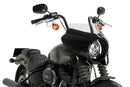 HARLEY DAVIDSON SOFTAIL STREET BOB FXBB [2019] – Mirage – Tinted-43