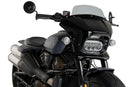 HARLEY DAVIDSON SPORTSTER S RH 1250 S [2024] – Fury – Tinted-13