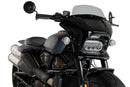 HARLEY DAVIDSON SPORTSTER S RH 1250 S [2024] – Fury – Tinted-2
