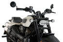 HARLEY DAVIDSON SPORTSTER S RH 1250 S [2024] – Fury – Transparent-28
