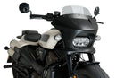 HARLEY DAVIDSON SPORTSTER S RH 1250 S [2024] – Fury – Tinted-14
