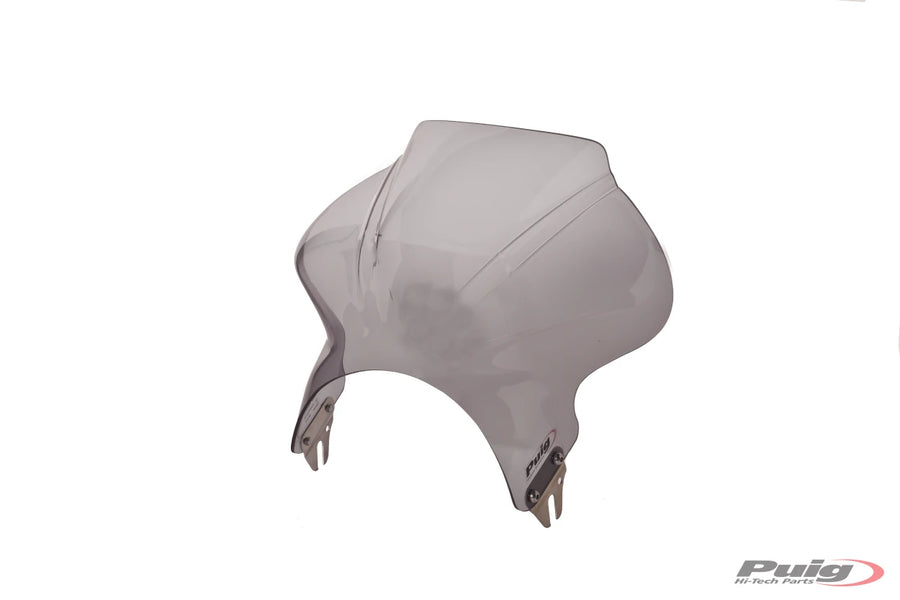 HONDA CB 600 F HORNET [2004] – Cockpit windshield panel – Strong