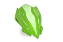 KAWASAKI Z 900 SE [2025] – New Generation Sport – Transparent-40