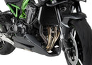 KAWASAKI Z 900 SE [2025] – Crash Pads PRO 2.0 – Black-1