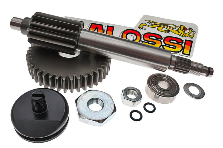 Aprilia SR Netscaper 50 2T LC - Primary gear 14/42 with ball bearings