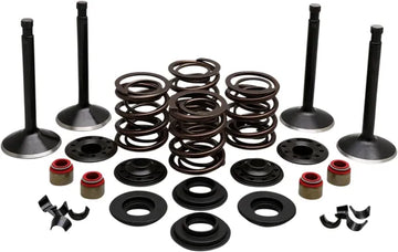 Harley Davidson FL Shovel [KIBBLEWHITE] - Engine Valve Kit