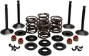 Harley Davidson FX Shovel [KIBBLEWHITE] - Engine Valve Kit