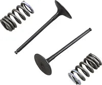 Suzuki RM 250 [PROX] – valve and spring set