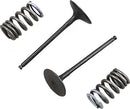 Suzuki RM 250 [PROX] – valve and spring set
