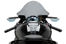 BMW S 1000 RR [2025] – R-Racer screen – matt black