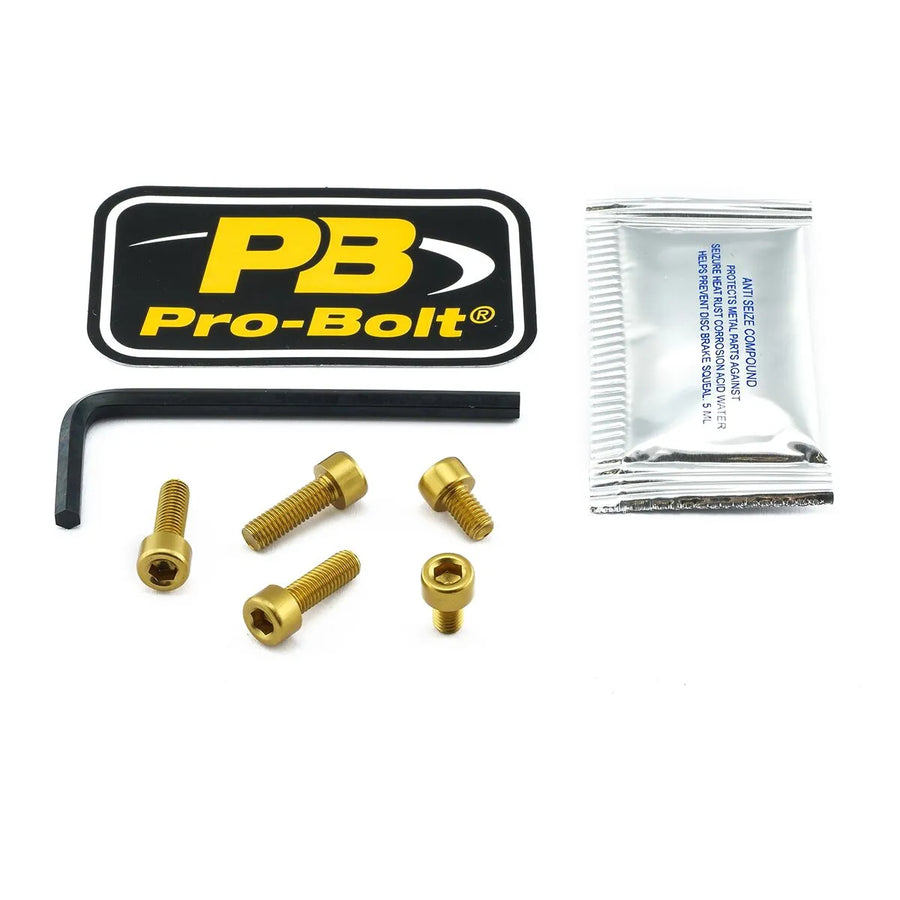 Kawasaki Versys 650 [Pro Bolt]-Aluminum fuel cap kit