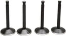 Harley Davidson FX Shovel [KIBBLEWHITE] – Black Diamond™ Engine Valve Kit