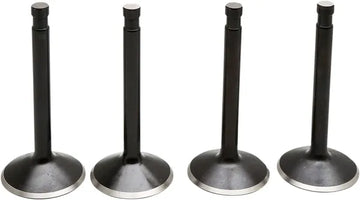 Harley Davidson FX Shovel [KIBBLEWHITE] – Black Diamond™ Engine Valve Kit