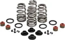 Harley-Davidson Xl 1200 Sportster [2020] - Endurance Beehive® Ventilfedern mit Titan-Federtellern – Bild 7