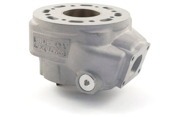 Beta RR-T SM 50 2T - Zylinderkit Racing RF50WR