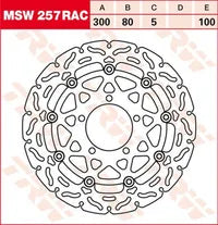 Kawasaki Ninja 1000 SX ABS [2020, 2021-2023] - Flame Series Schwimmende Bremsscheibe – Bild 10
