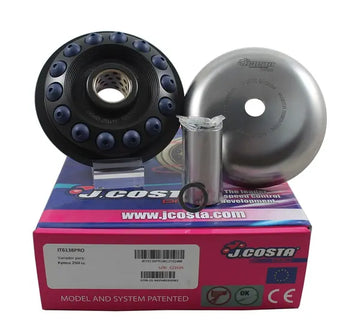 Pgo G-MAX 125 [2005, 2008] - Variator Pro – Bild 2