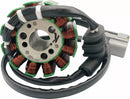Yamaha YZF R1 [Rick's Motorsport Electric] - Stator-1